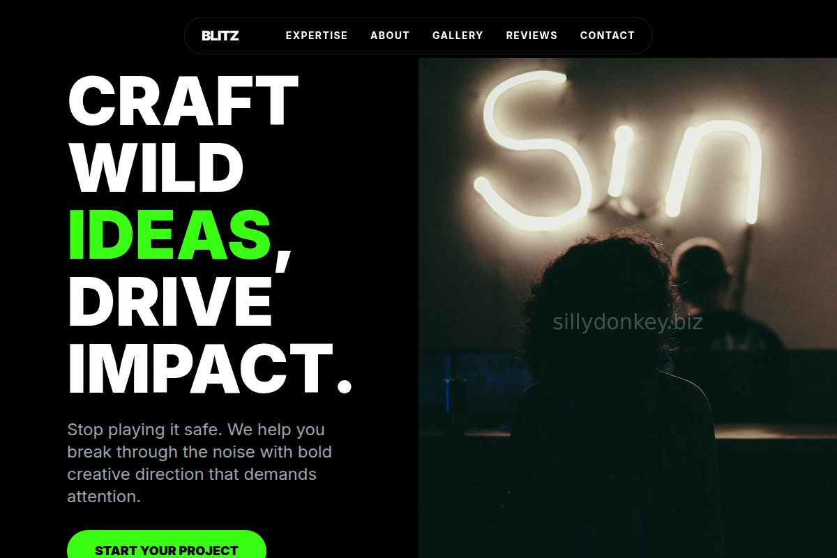 Blitz Creative Direction